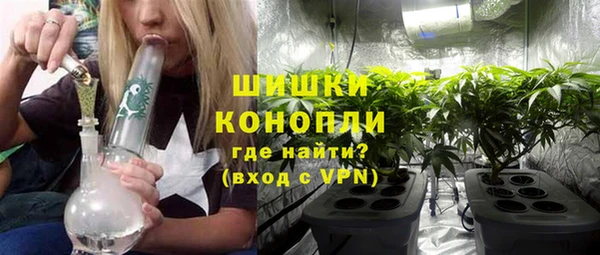 индика Волосово