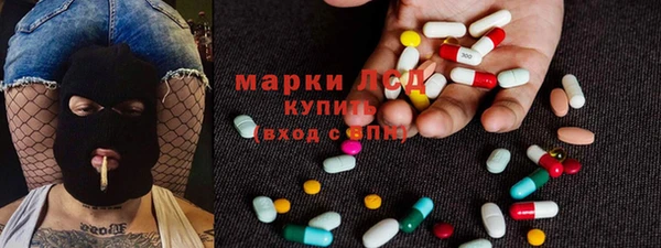 индика Волосово
