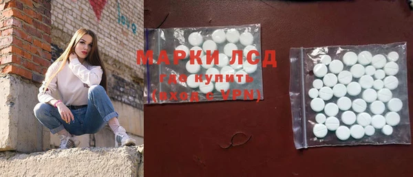 индика Волосово