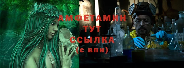 индика Волосово